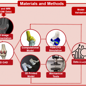 Results from study about synthetic 3D printed knee joint presented at IEEE MetroXRAINE