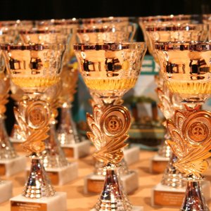 Excellent research recognised – Award-winning members of SINPAIN