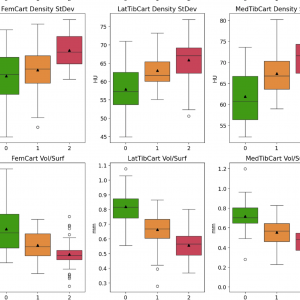 Publication: Objective stratification of knee osteoarthritis stages using a semi-supervised learning approach on multimodal MRI-CT cartilage features