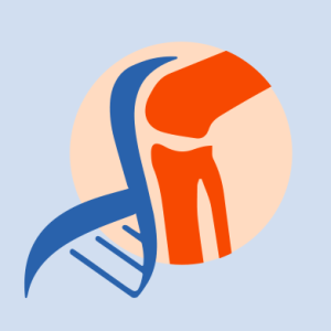 New publication: SINPAIN research advances promising hydrogels for cartilage regeneration