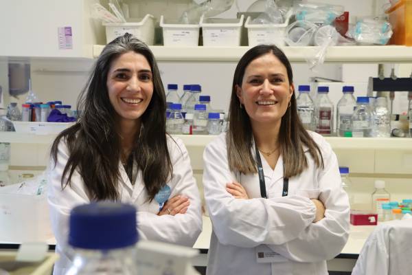 The researchers Daniela Pereira de Vasconcelos and Catarina Leite Pereira, together with the RESTORE consortium (814558), developed a Nanoenabled Col-PLA Scaffold with the potential to support chondrogenesis as well as modulate inflammatory response, overcoming the limitations of traditional cartilage tissue engineering strategies.